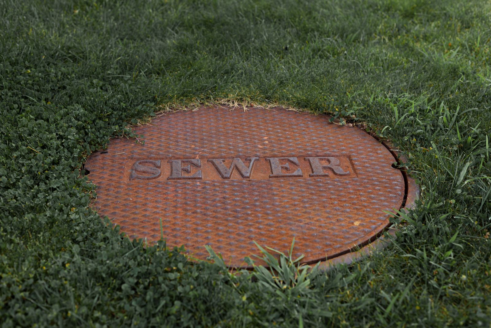 Water pooling in a yard above a sewer line