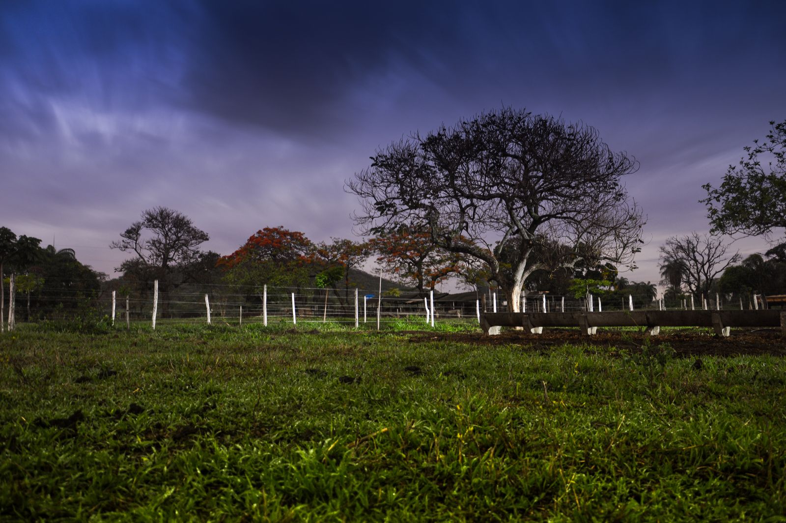 A grassy rural yard